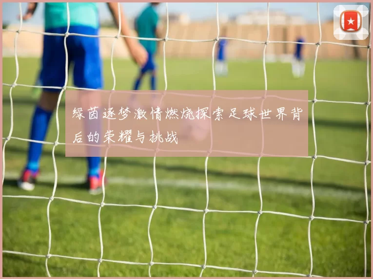 绿茵逐梦激情燃烧探索足球世界背后的荣耀与挑战