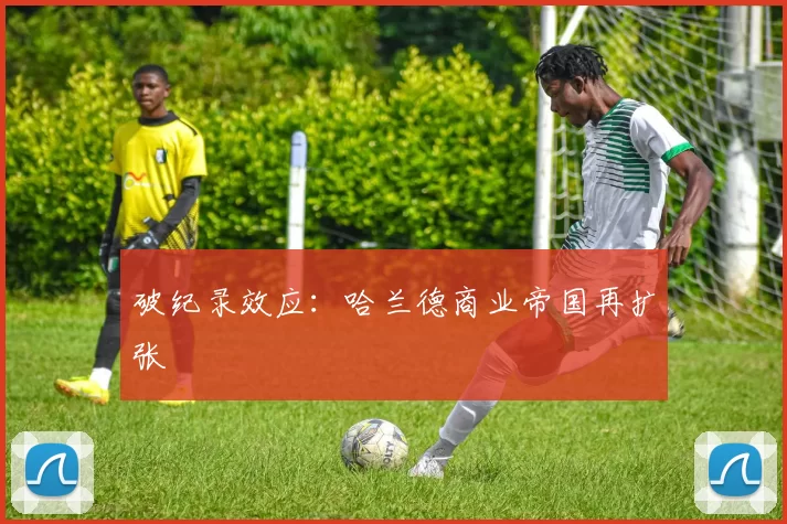 破纪录效应：哈兰德商业帝国再扩张